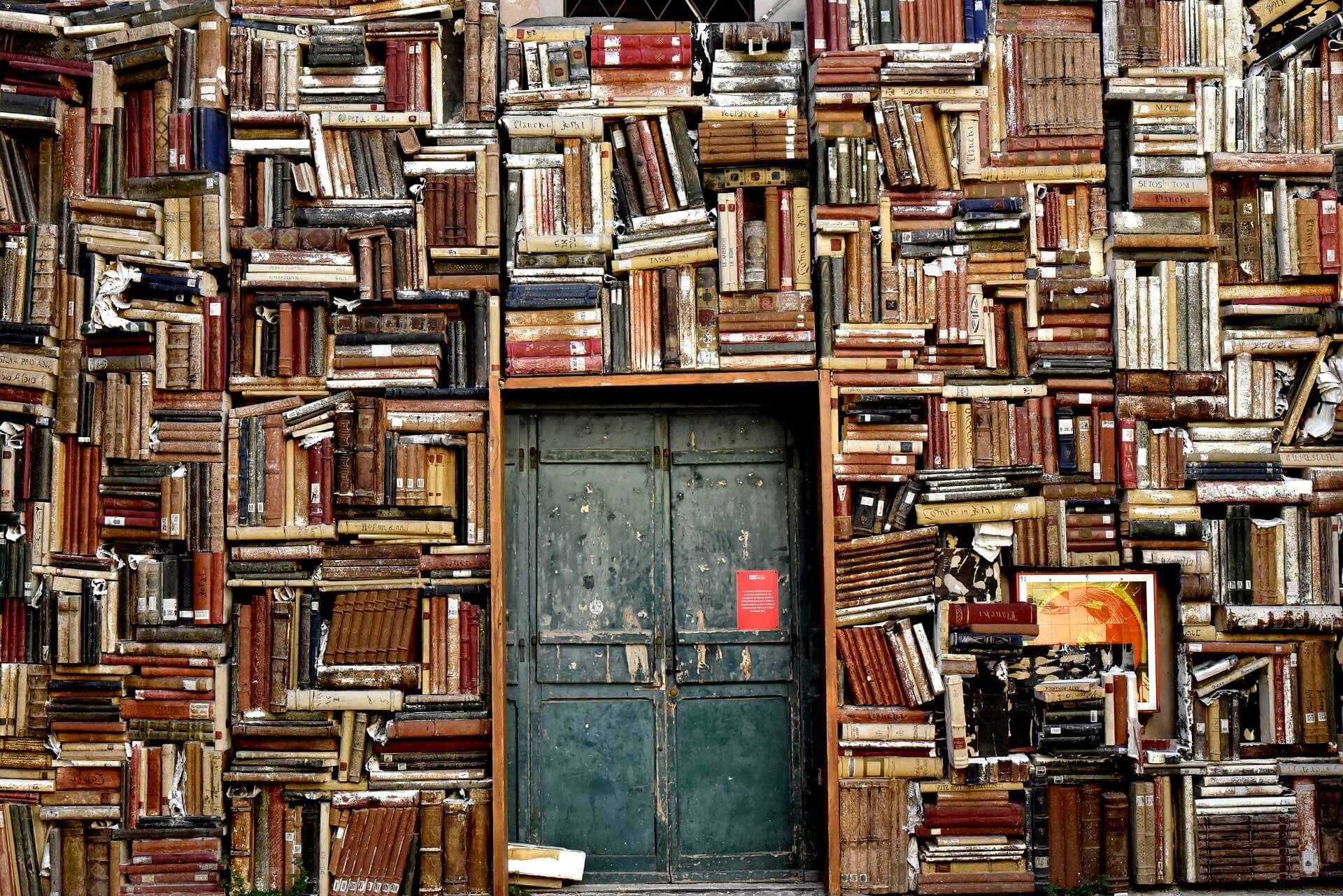 Pesaro's Bookstore Book Frame