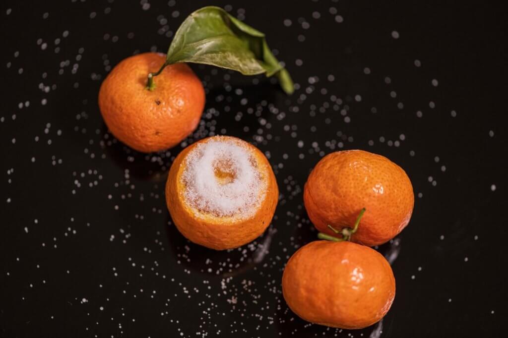 Oranges Paired with Salt for a Refreshing Treat