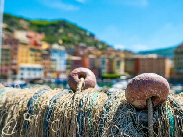 Camogli Fish Festival (Sagre del Pesce) Seaside Italian Town