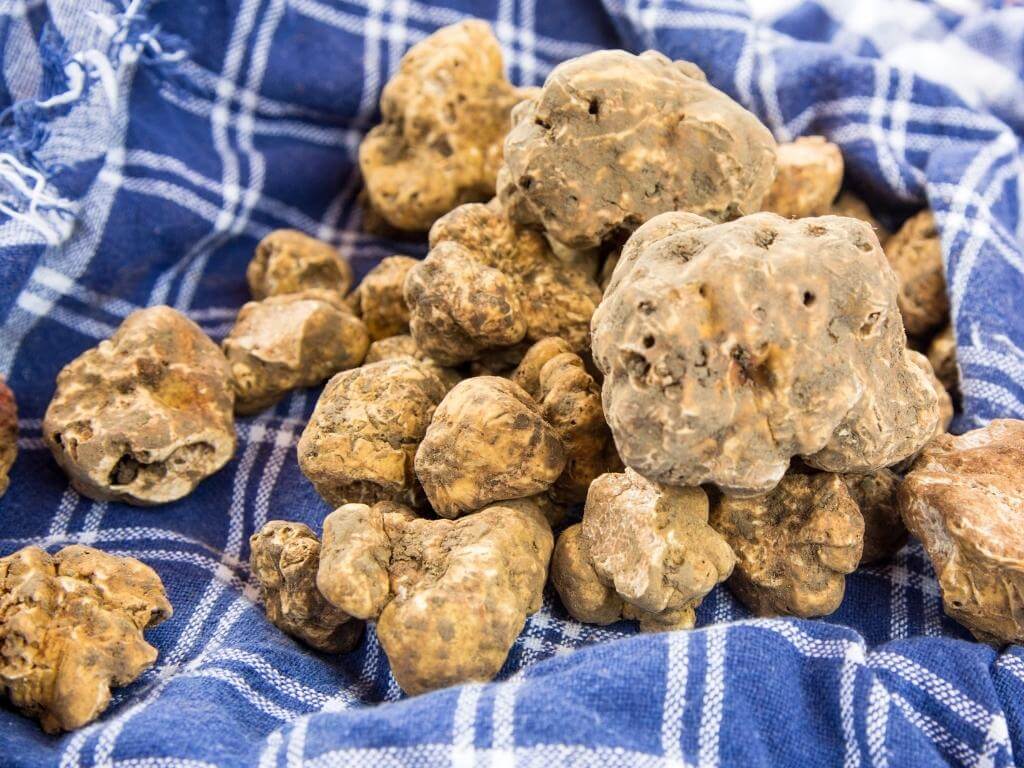 White Italian Truffles