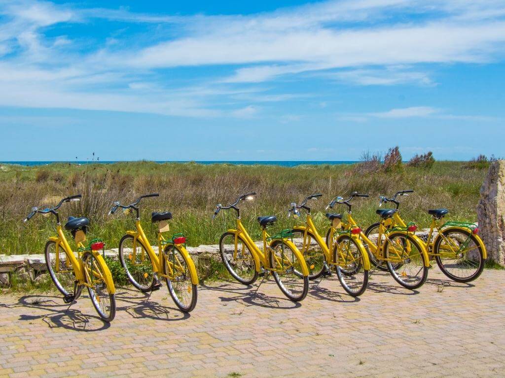 A Sustainable Traveller can Bike with this row of yellow bikes in a hot climate